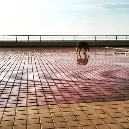 Rosa Dei Venti Apartmán Bagnara Calabra